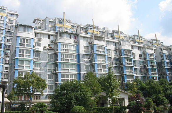 zoty��ŷ��(�й����޹�˾)�ٷ���վ