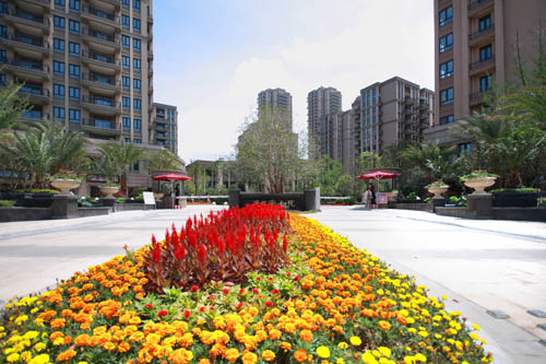 zoty��ŷ��(�й����޹�˾)�ٷ���վ