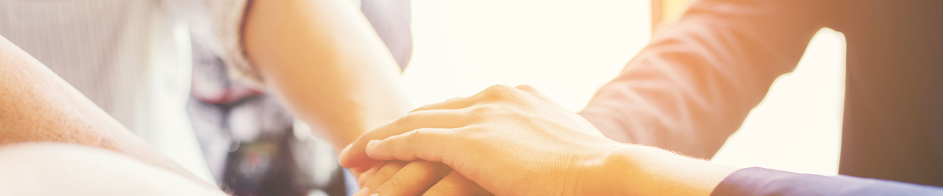 zoty��ŷ��(�й����޹�˾)�ٷ���վ