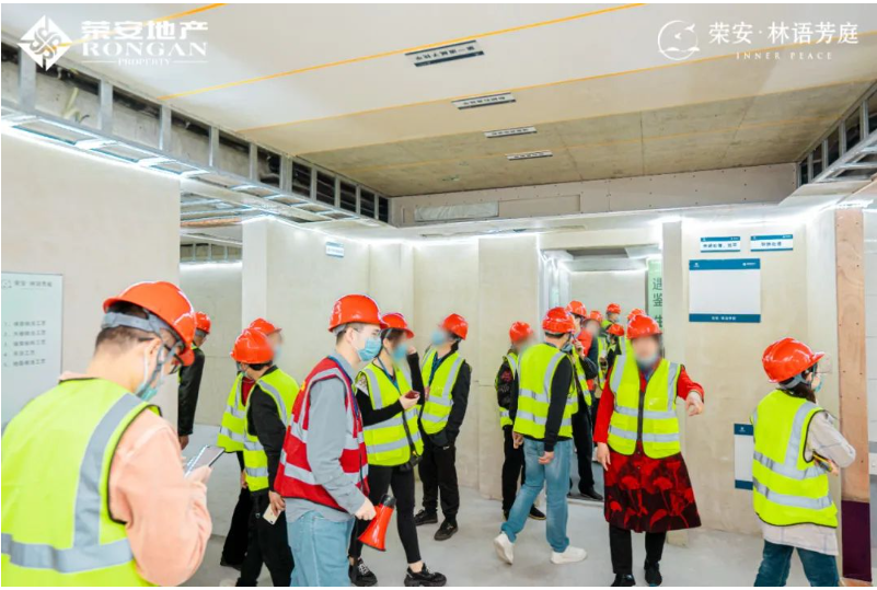 16540459904290182BOe.png image.png