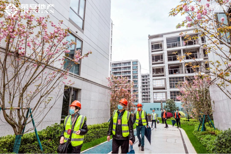 1654046005124831NKo6.png image.png