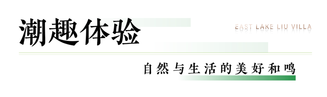 16621099215456044bfJ.png image.png