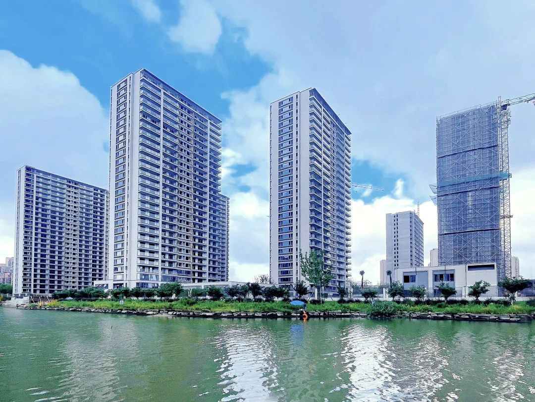 1695191755521225iBLT.jpg 640 (2).jpg