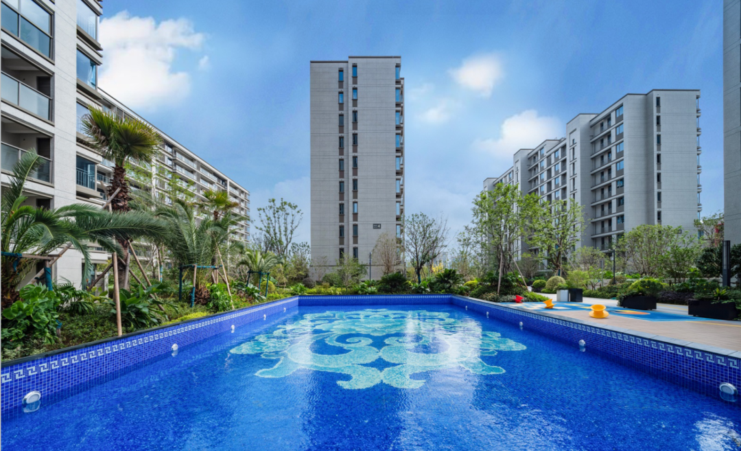 1700203055390208lOfy.png 640.png